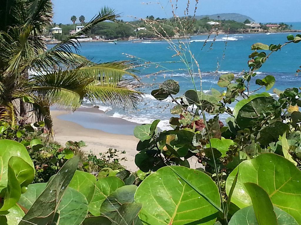 Treasure Beach Hotel المظهر الخارجي الصورة