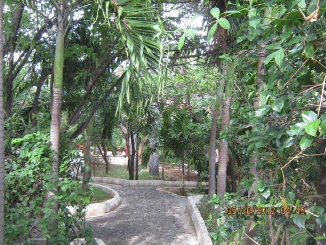 Treasure Beach Hotel المظهر الخارجي الصورة